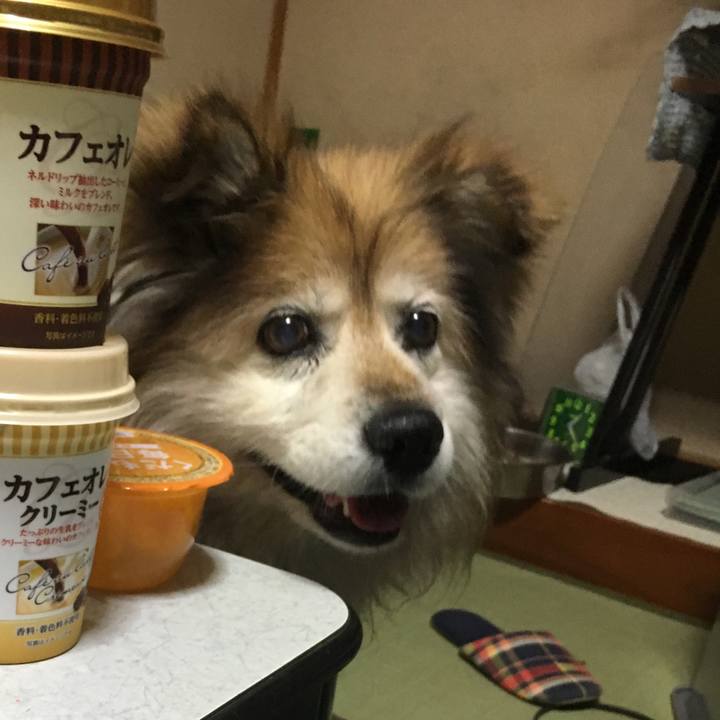 5ce5d56e 000d 471f 9d2c 5f2230863f2b 1552173840173