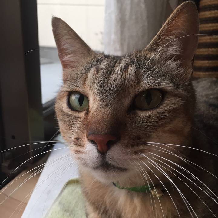 5ce5dbad 6a0e 4f18 bd1f 483649062c26 1530561473339