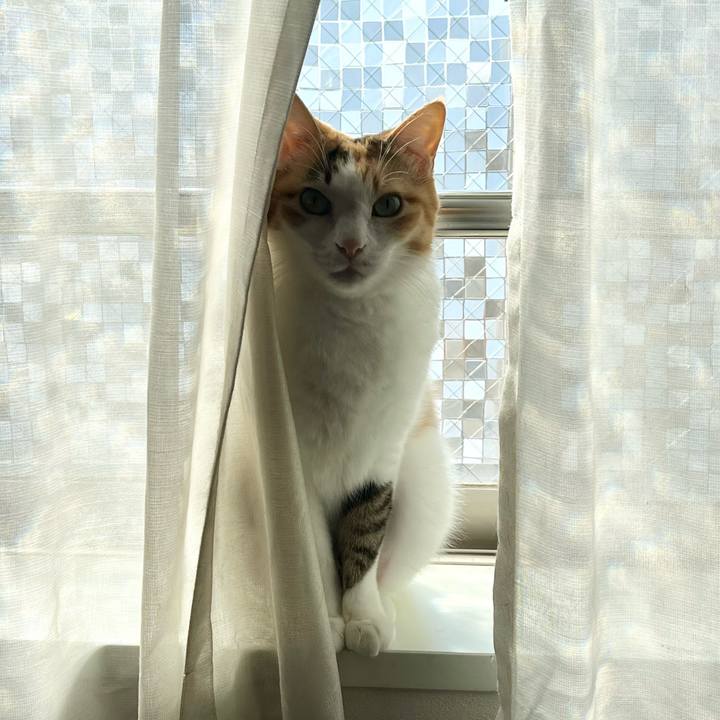 5ce6128d 3eed 406d 8ff1 51eb32dc066a 1768535057335