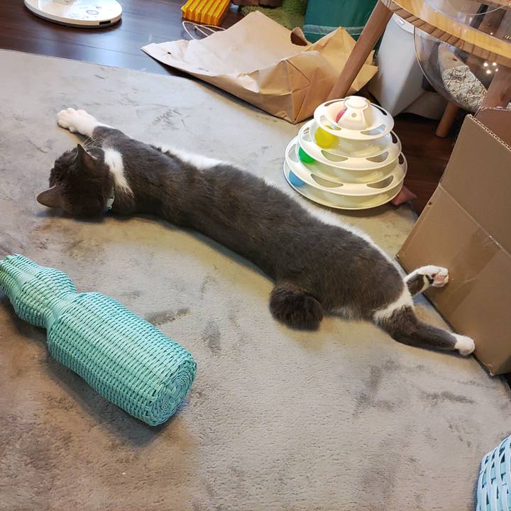 5ce685ce 55ca 44b7 9084 b6fe59e53c6f 1653626725497