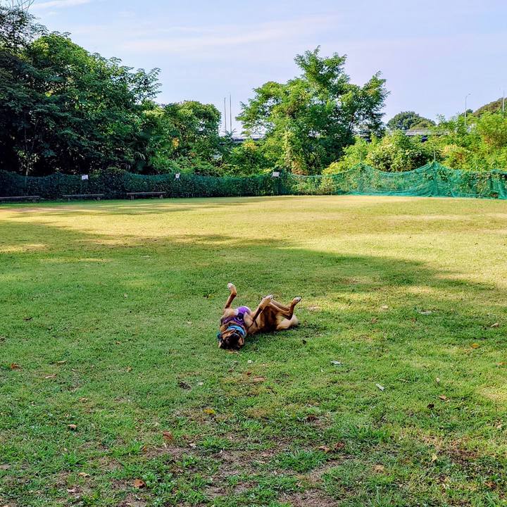 5ce6b3e1 02ca 4077 82ad a8b4bfc56995 1754712896320