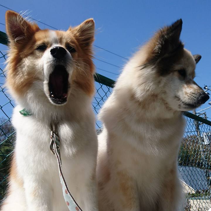 5ce6cd1c a037 46d1 b5ba 5c0f59c5dfe2 1617449921356