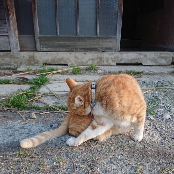 5ce70c86 070d 40b7 bf5c e945e967b16a 1588468237817