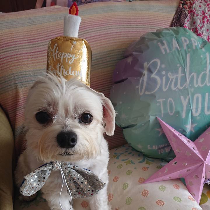 5ce72c24 7995 435a b214 dc841a488834 1616559365600