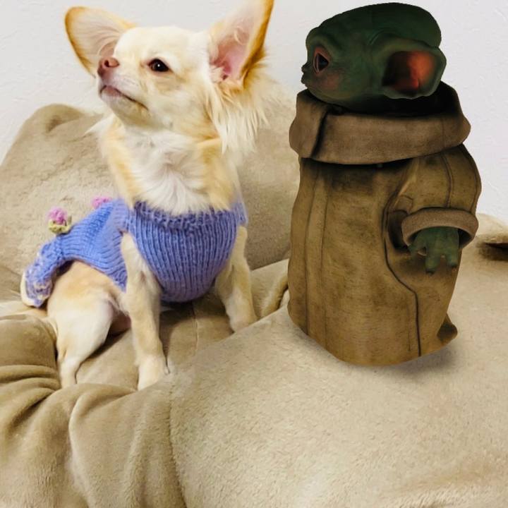 5ce72fb2 28ca 42ba bb1b eaa5c874aebb 1611401056963