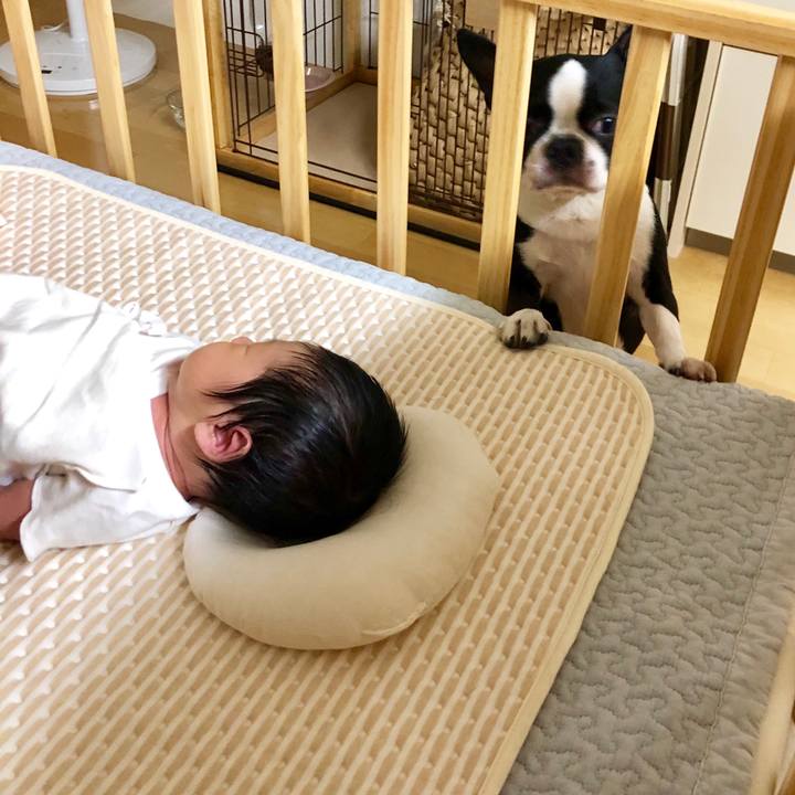 5ce73bc8 d6c4 493a a064 3a4f40809eb6 1566865925452