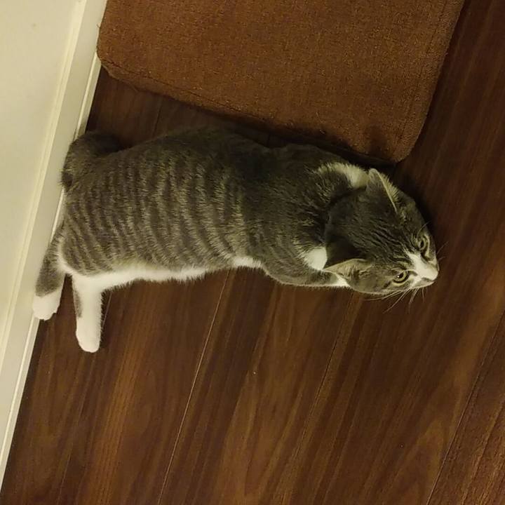 5ce742d7 897a 4fcf 9a44 e224a8fcf751 1568039813381