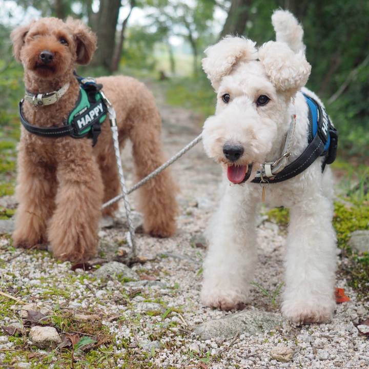 5ce75829 20d5 404c bd56 a2b5f6ce25fc 1569646442623