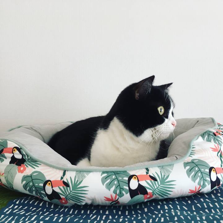 5ce75b63 4b80 4ff2 95e2 d764ddd93654 1615000101123