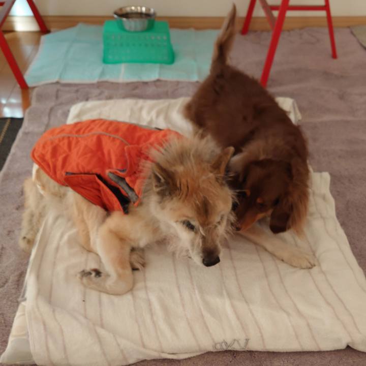 5ce75f57 dffc 4d39 bc5e 86a192e3abc5 1638228226468