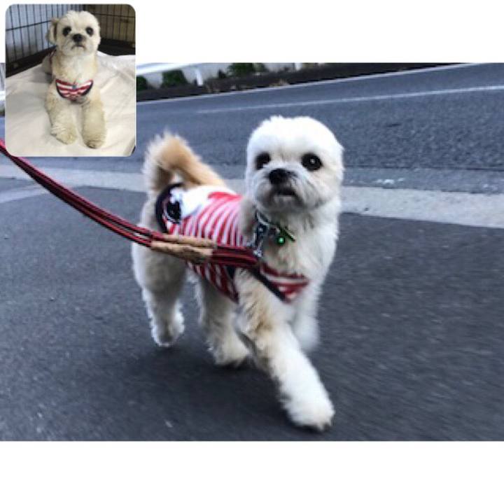 5ce76f21 87b0 47df a02d 652b8787440c 1555419379874