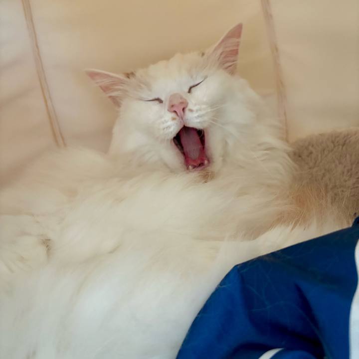 5ce78f0d 9d35 487e ab70 a6cddd3694cf 1763947476052