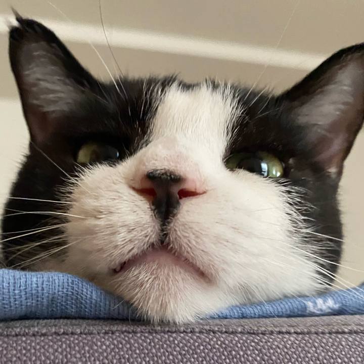 5ce794d5 15b3 4188 8ae8 72f173f353e7 1717846387975