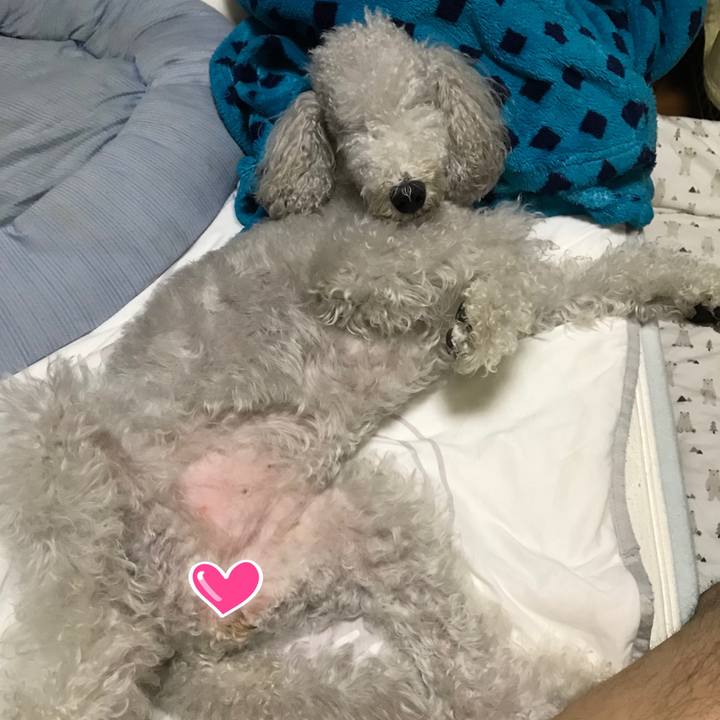 5ce79940 14f7 4576 a59e 868ceed0a37f 1665825374435