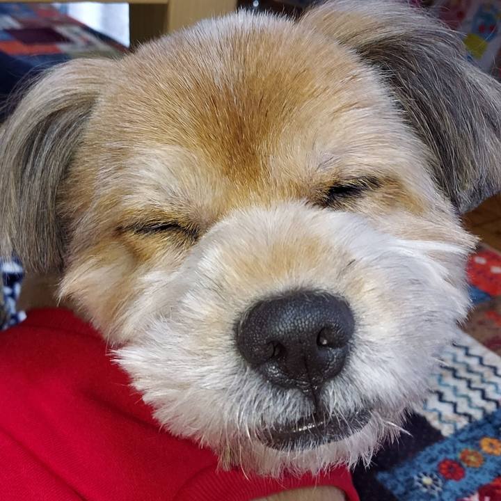 5ce7ae8a f29c 4918 9b80 7a6c7206b8b5 1636442539220