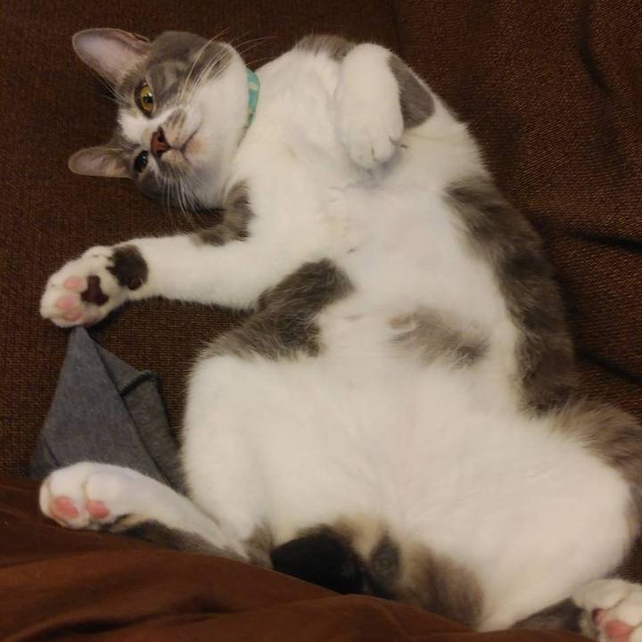 5ce7e8b0 9d4e 4b20 b195 d812c9cd9a1f 1593343426097