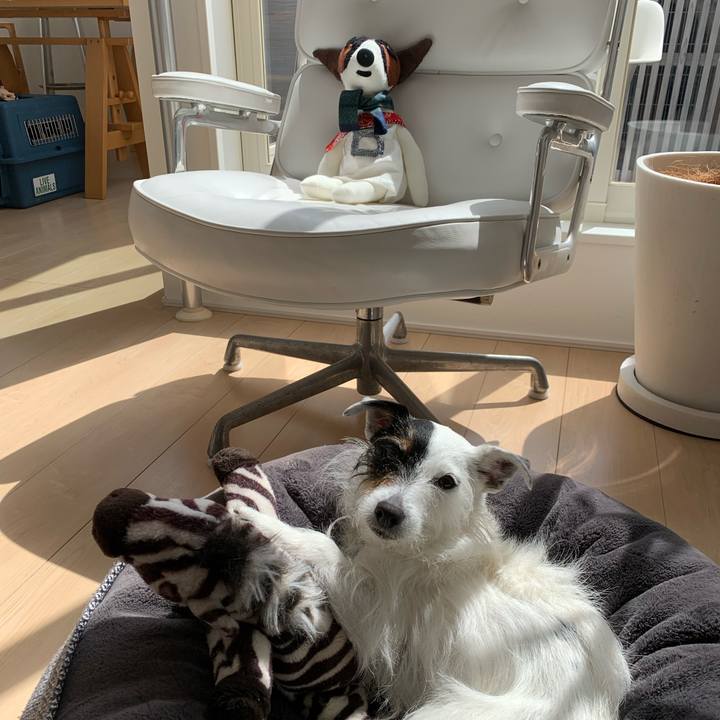 5ce7eafa 0759 4268 bd30 886e163216dd 1680667891345