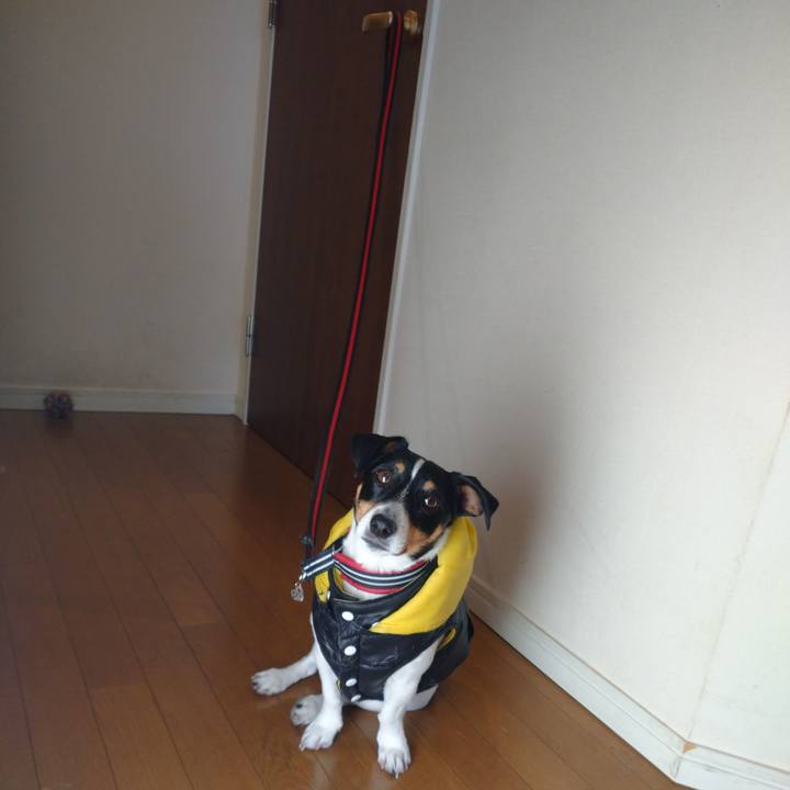 5ce823e6 6a3b 4eae 9dea 38eaaff38ec6 1612842245366