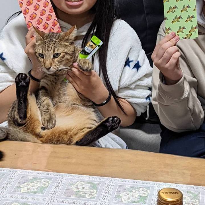 5ce833c2 7dff 47ef b6f7 f2e84feafd0b 1641476867424