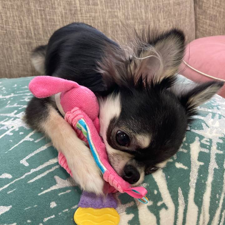 5ce8467f 76b2 4fc9 86d9 903599988e37 1599135874952