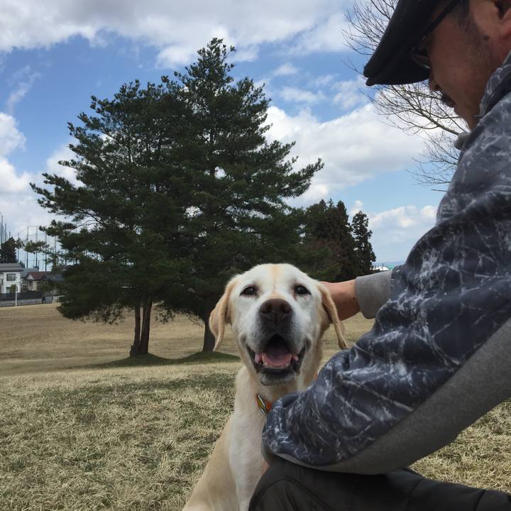 5ce87be9 d16f 4048 a900 50f020c290d0 1514630076681