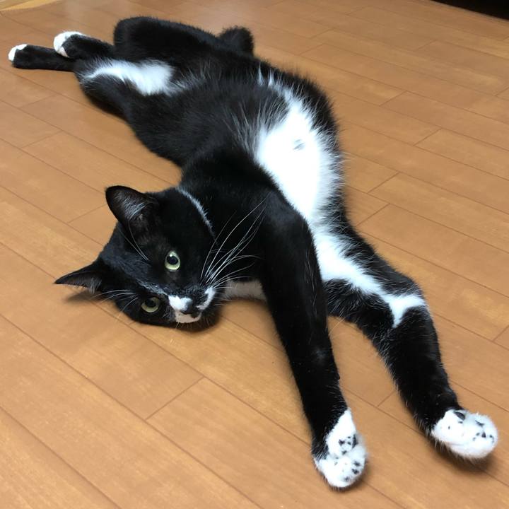 5ce898d6 f1a6 4324 b78d c7428c4ac596 1571197320611