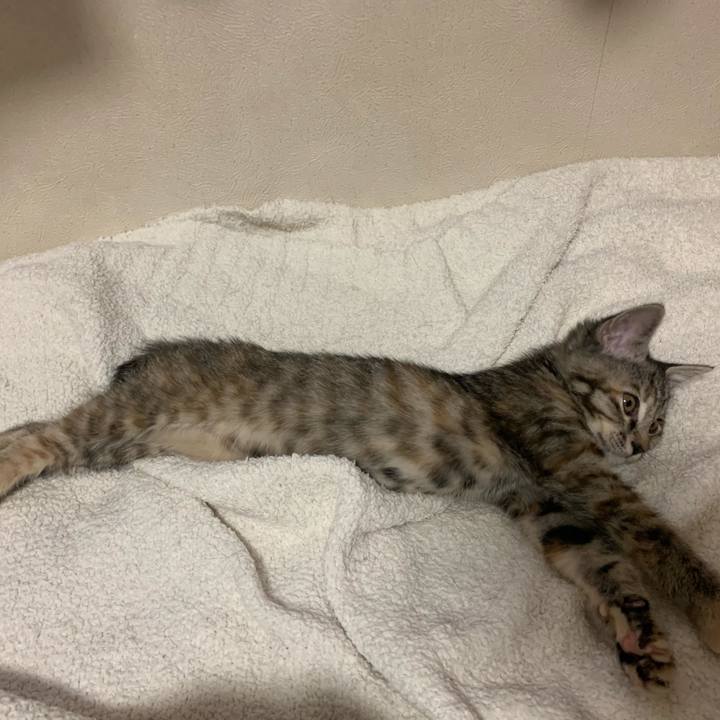 5ce89b5d bd5b 47d1 9c6c 58acc4d92a61 1592490638200