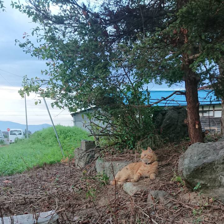 5ce89bc2 c3a0 4501 8454 fce2e9595067 1660337873104