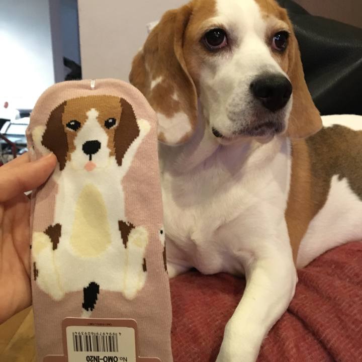 5ce89fc3 c53c 4cd7 aaf3 0b7ffc3441dc 1514943707143