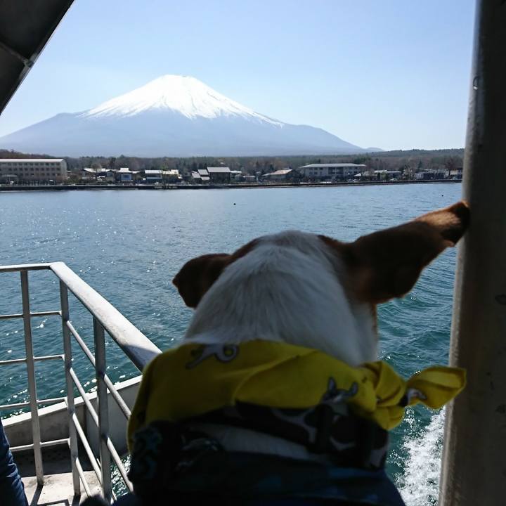 5ce8df1d 08f5 421a a737 fac11c97f00e 1524286241247