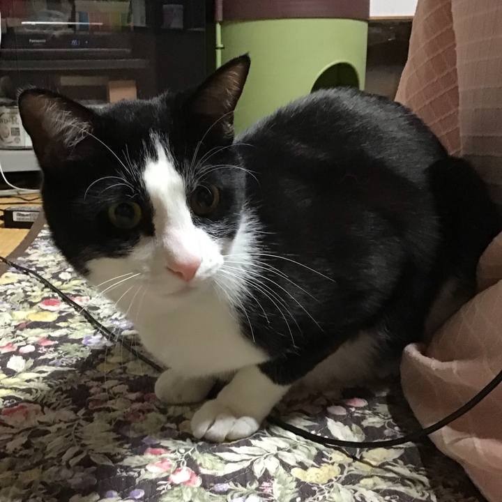 5ce96f18 9019 4f7b b06d c3046bf78ab8 1682420669804