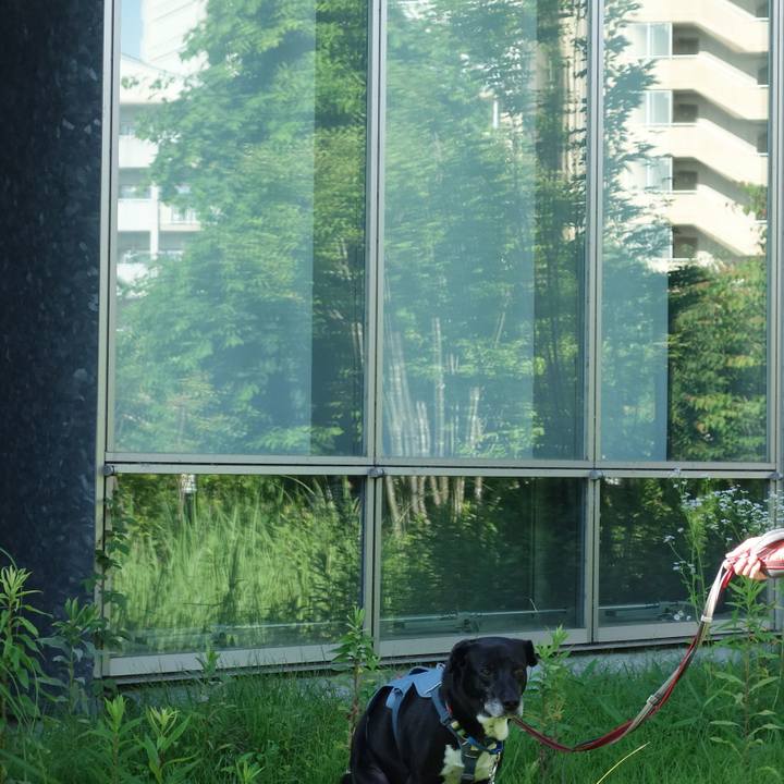 5ce99be2 f9aa 4e48 a1ba c22f815ada01 1719016472666