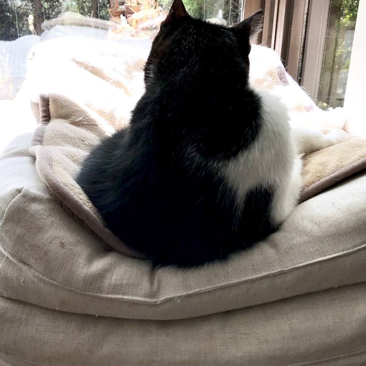 5ce9ebee 0b64 42ea a602 984bbf56c241 1550227856990