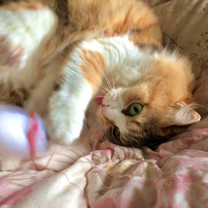 5cea22fb 827d 47f4 a2e1 e3f5369c15de 1589956679434