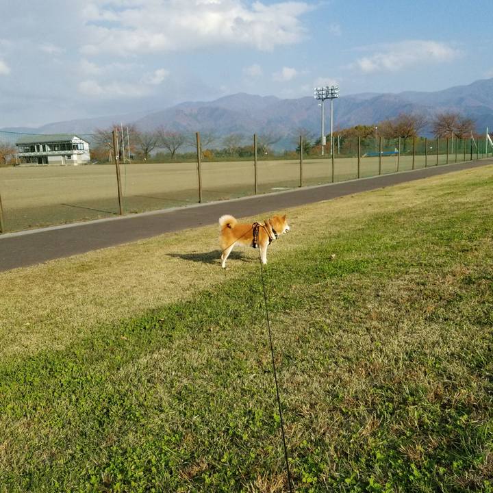 5cea267d a67a 4b25 9976 1476c1c195ed 1604813075393