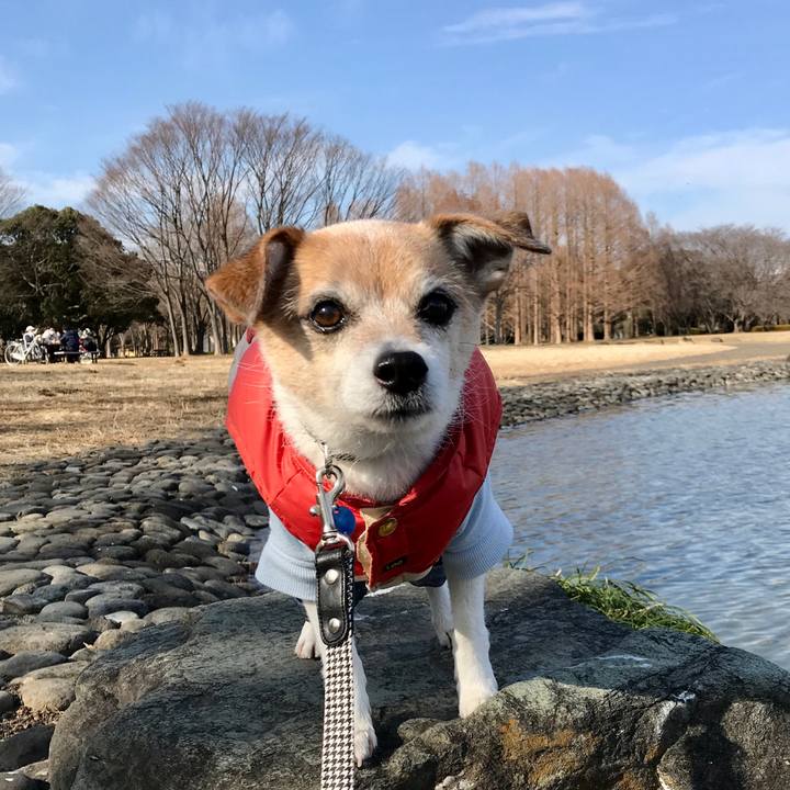 5cea9112 0843 49c5 8db3 68adb9a9ff5e 1643438405342