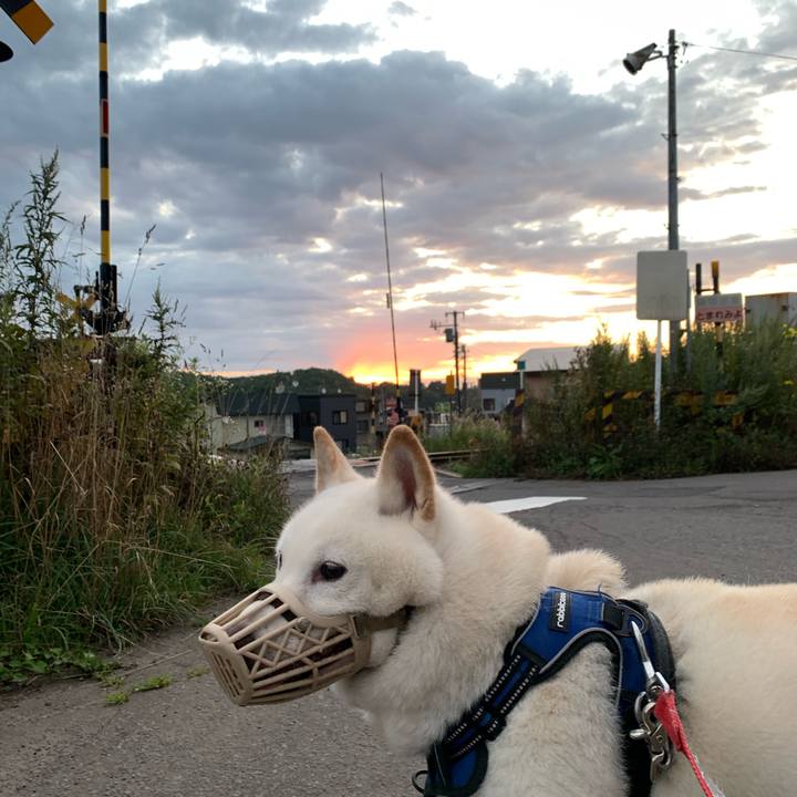 5ceada1a 209e 45a7 ac05 11c8246f61ce 1630183104045