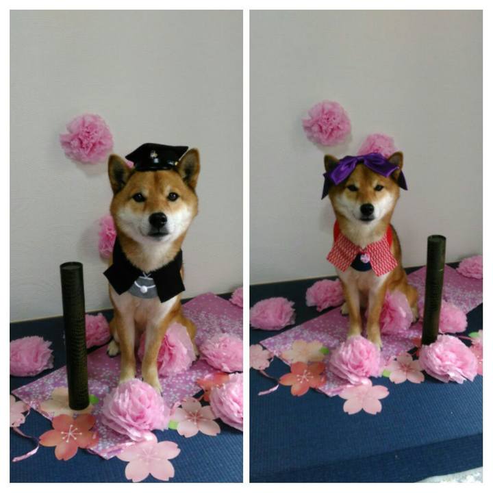 5ceaebdd 14ea 46c1 9209 942de00b0ace 1521167767475