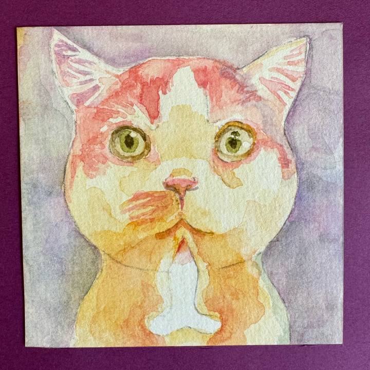 5ceafecb e252 44bd 9228 c751ddda3f9a 1771810413643