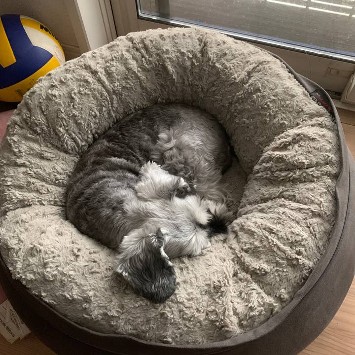 5ceb04f1 7795 4e7e bc08 9bed25f9750e 1662169539269