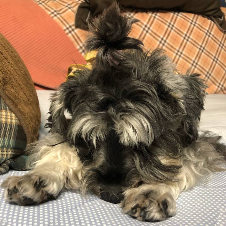 5ceb4dde 5f4b 4402 9f38 a326758458f0 1630152784507