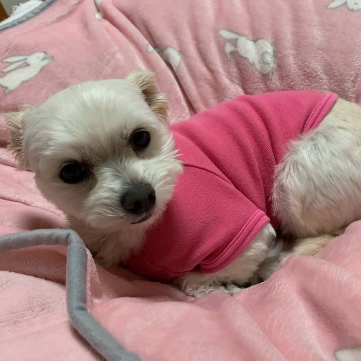 5ceb9c6d 85c2 435c 9c7a e44eed77f362 1579431670985