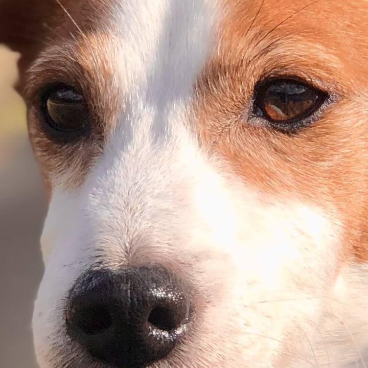 5cebc29e 46f8 4336 8f03 8902486114bc 1735745910518