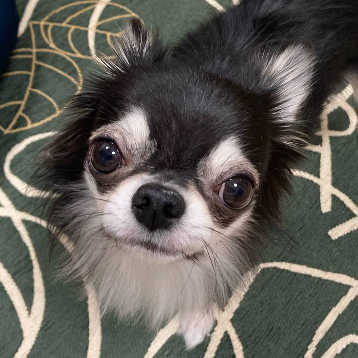 5cebd56e 102e 419e 822e 58fdb2902ef1 1636206711336