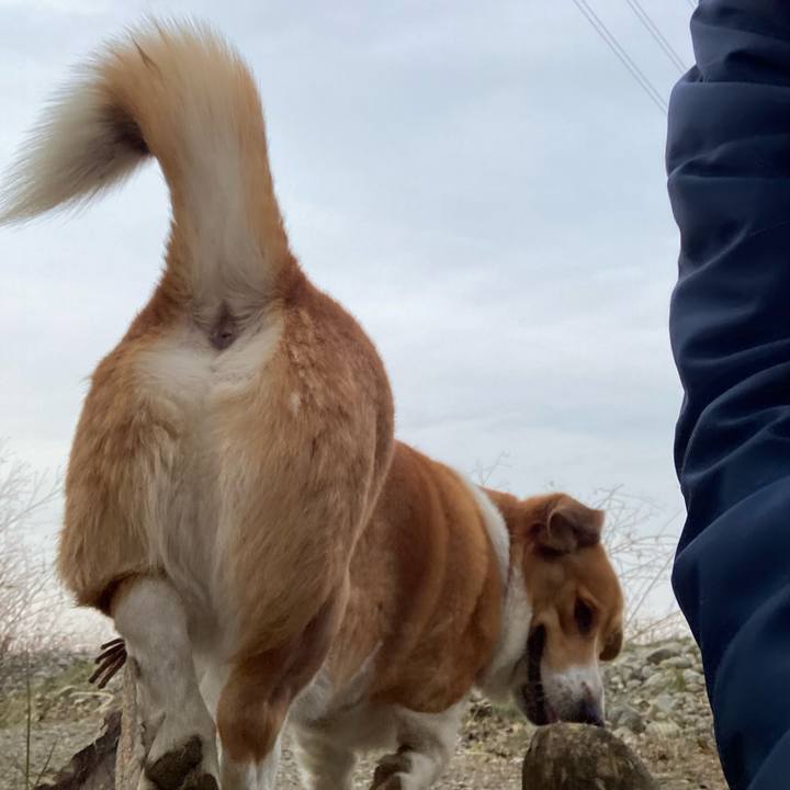 5cebdf85 684b 4f24 8db3 6e9b74434489 1707611112359