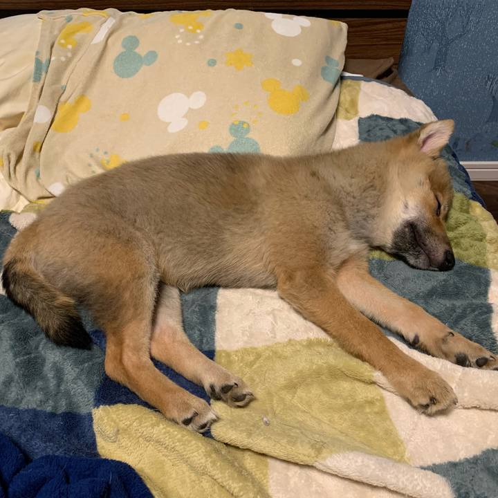 5cebe869 bc56 4e11 aecb 773d56afe676 1620049679860