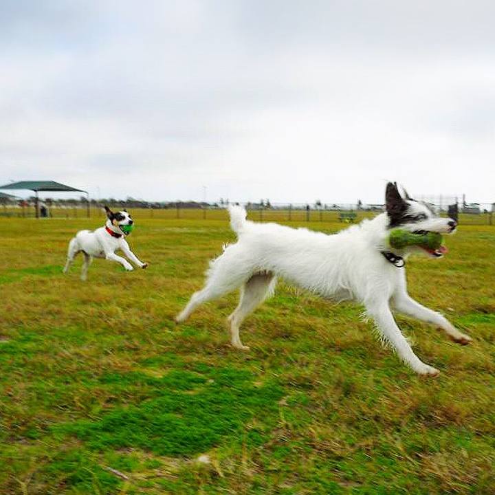 5cec10bf e4cc 4bc4 8e87 c9cdc51af3fc 1568591886993