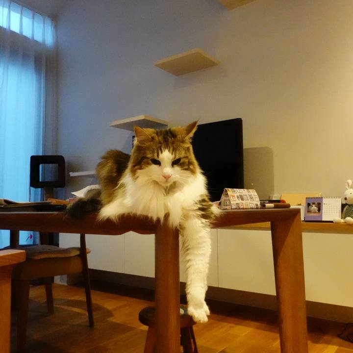 5cec1bde aa54 43f8 91b1 6a587d32bce3 1591961482571