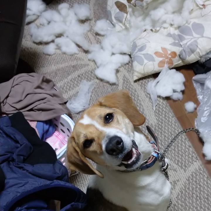 5cec27b9 048b 48ab 8a79 d62c07a1f5bd 1615454068567