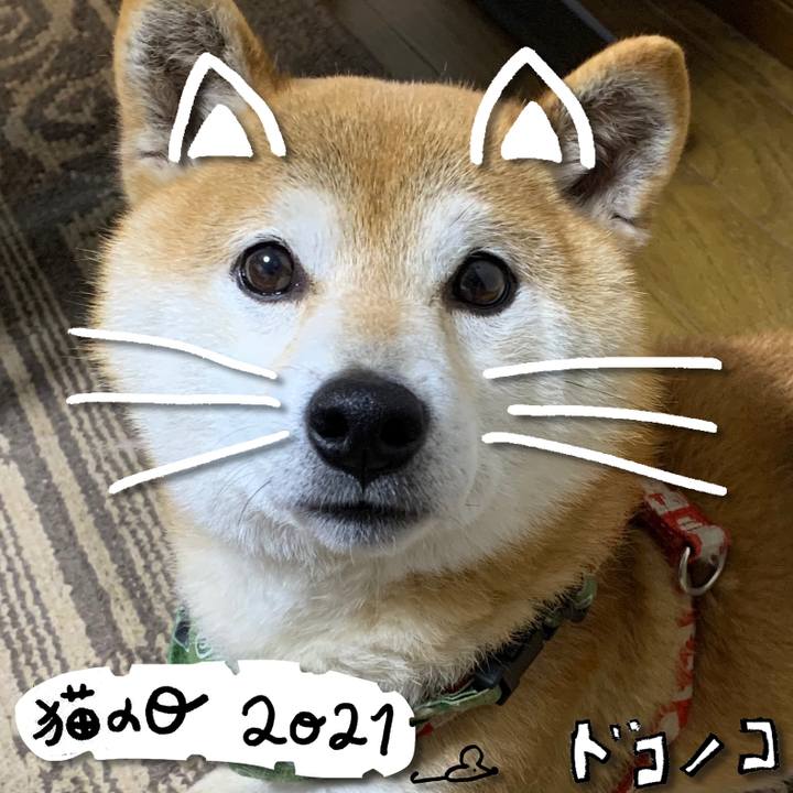 5cec47f2 dacc 4cac 8bf6 4a4b8d4244eb 1613961884008